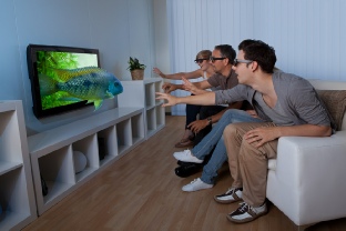 Home Entertainment Home Entertainment